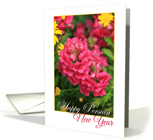 Happy Persian New Year with Garden Flowers Photo card (575856)