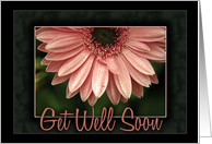 Get Well Soon Pink Daisy from Employer or Business card