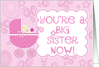 You’re a Big Sister Now- New Baby Girl/Sister card
