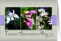Teacher Appreciation Day with Purple Flower Snapshots card