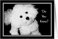 Do You Know? - Beemer & Tucker Care Notes card