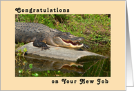 Congratulations New Job as Dentist. card