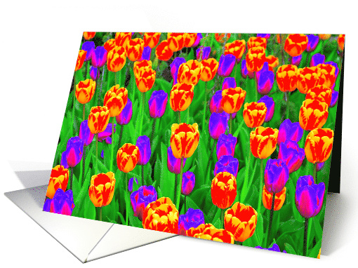 Pop Art Neon Tulips Friend Happy Birthday card (404547)