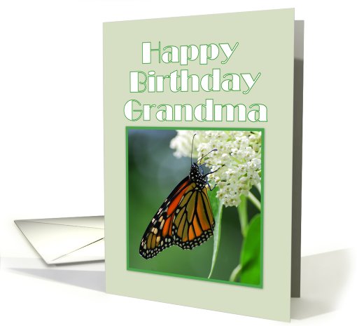 Happy Birthday Grandma Monarch Butterfly on White Milkweed Flower card