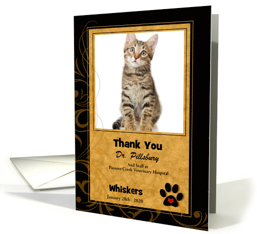 Veterinarian Thank You in Black and Gold with Cat's Photo Blank card