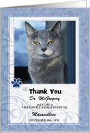 Veterinarian Thank You Soft Blue with Pet’s Photo Blank card