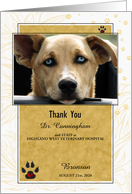 Veterinarian Thank You in Golden Yellow and White Pet’s Photo Blank card