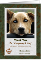 Veterinarian Thank You Green Gray and Brown with Pet’s Photo Blank card