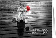 I Love You Squirrel with Carnation Black and White card
