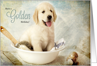 Golden Champagne Birthday Golden Retriever Puppy card