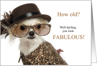 Funny Birthday White Chihuahua in Animal Print Fashion card