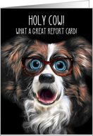 Good Grades Congratulations with Funny Border Collie in Glasses card