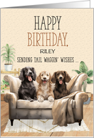 for Dog’s Birthday Three Dogs on a Sofa Tali Waggin’ Wishes Custom card