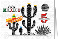 Cinco de Mayo Viva Mexico with Cactus and Sombrero card