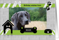 from the Dog Fun Birthday Green and Black with Pet’s Horz Photo card