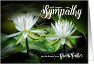 Loss of a Grandfather Sympathy White Waterlilies card