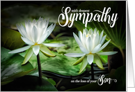 Loss of a Son Sympathy White Waterlilies card
