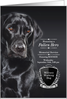 Military Working Dog Memorial Service Black Labrador Retriever card