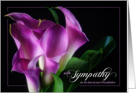 Loss of a Grandfather Sympathy Purple Calla Lily on Black Botanical card