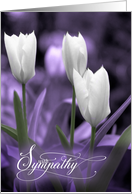 Sympathy White Tulips and Lavender Purple Tint card