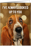 for Mentor Birthday Dog Lover Cute Basset Hound card