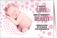 for Grandparents on the Birth of a Granddaughter Girl Pink card