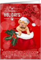 Industry Specific Business Christmas Cards from Greeting Card Universe