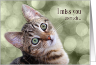 I Miss You So Much I Can’t Purr Cute Tabby Kitty card