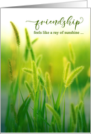 Friendship Day Summer Grasses card