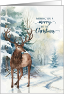 Little Christmas Epiphany Greetings Reindeer Winter Forest card