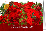Spanish Language Christmas Poinsettias Feliz Navidad! card