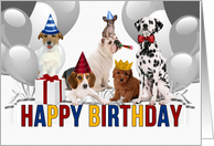 from All of Us Pack of Dogs in Birthday Hats Red Blue and Yellow card