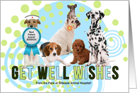 Get Well Cute Pack of Dogs for Pet Related Business Custom Text card