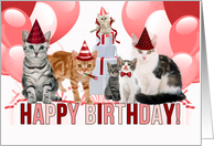Birthday for the Cat Lover in Red and Pink Hues card