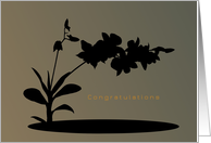 Elopement,Congratulations, Hawaiian Orchids, Shadow with Gradient Backdrop card