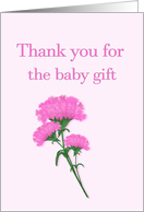 Thank you for the baby gift, Pink Carnations card