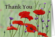 Thank you,Poppies and Bachelor Buttons card