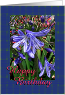 Mother from Son Happy Birthday Lavender Lilies card