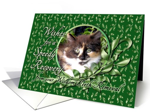 Recovery from Wisdom Teeth Removal - Calico Kitten card (795205)