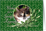 Recovery from Wisdom Teeth Removal - Calico Kitten card