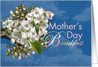 Mother’s Day Breakfast White Flower Blossoms card