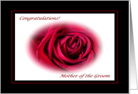 Congratulations for Mother of the Groom, Red Rose card