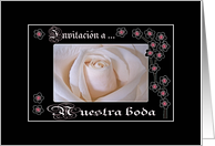 Spanish Wedding Invitation, White Rose and Blossoms card