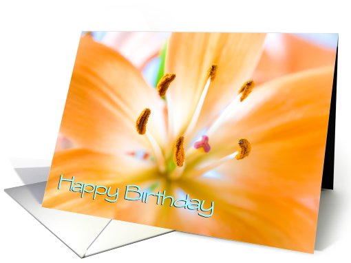 Orange Lily Employee Birthday card (459911)