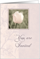 Pink Flower Wedding Anniversary Invitation card
