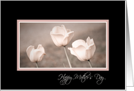 Pink Tulips Grandmother Mother’s Day Card