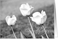 Black and White Tulips Congratulations Vow Renewal Card