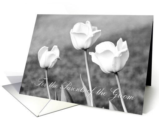 Congratulations Parents of the Groom Card - White Tulips card (669845)
