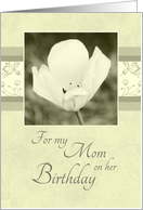 Happy Birthday Mom from Son - White Flower card