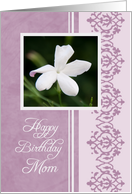 Happy Birthday Mom from Son - Purple & White Flower card